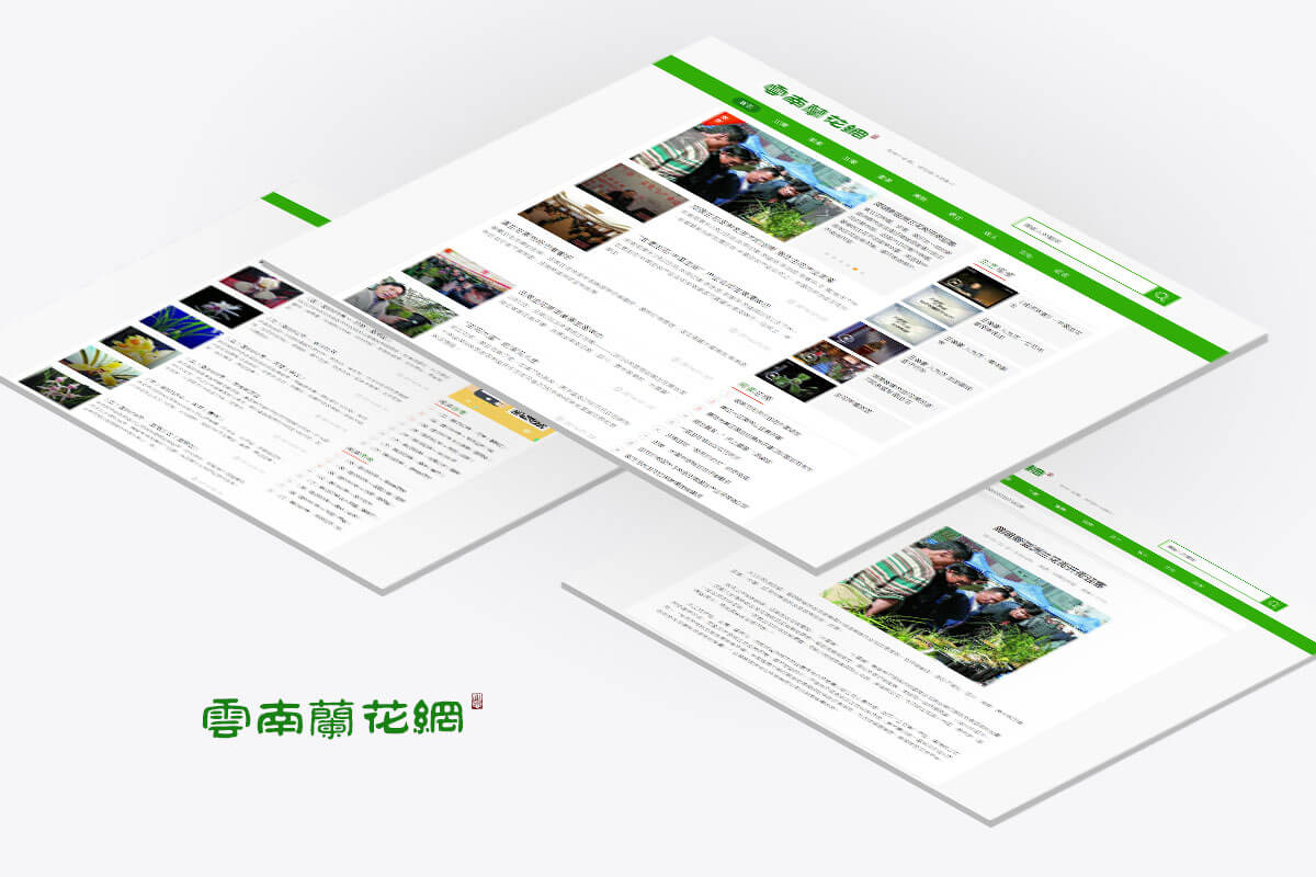 中国云南兰花网